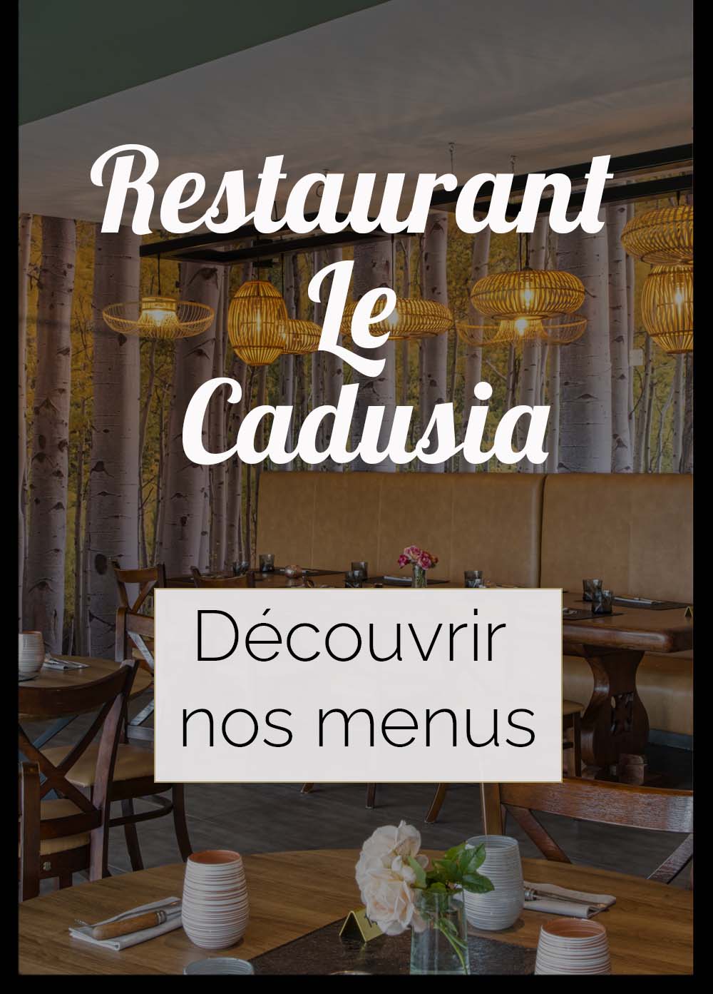troyes-hotel-restaurant-le-cadusia-chaource
